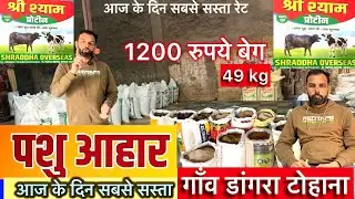 भारत का सबसे सस्ता पुशआहार खर्च कम और दुध ज़्यादा आज खिलाऐ अपने पुश को श्री श्याम प्रोटीन 