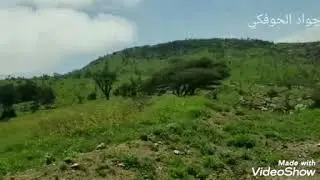 محمية إراف مديرية المقاطرة