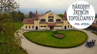 N&aacute;rodn&yacute; žrebč&iacute;n Topoľčianky - k&ocirc;ň kr&aacute;ľovnej Alžbety II. a &uacute;žasn&eacute; plemeno Lipican #RegionSlovakia​