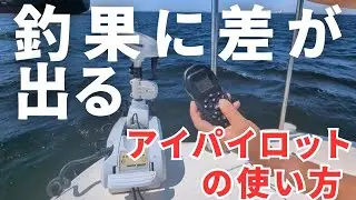 もう、手放せない！5年間使って解ったアイパイロットの使い方！定点保持、流し方などポイントを解説