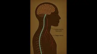 Episode 2:  Kundalini DECODED