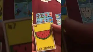 fictional playing loteria with vineyard chicks #6