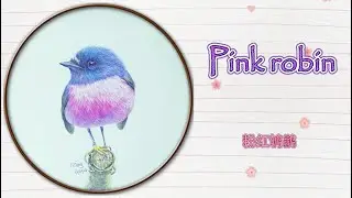 【Color pencil】How to draw various birds - 25 Pink robin怎样画各种各样的鸟&mdash;&mdash;25 粉红鸲鹟