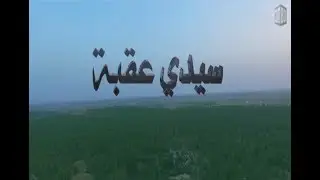 Sidi Okba ( Drone View ) - Comboxdz