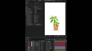 Plant Growing Animation After Effects #bounceeffect
