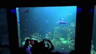 Haga Ocean