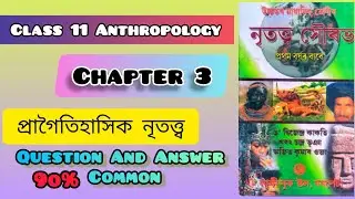 প্ৰাগৈতিহাসিক নৃতত্ত্ব || Chapter 3 || HS 1st Year Anthropology lesson 3 Question And Answer