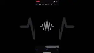 Totally Not Ittousēi no Procyon Starry Session Ver.