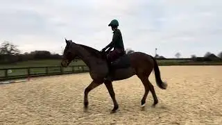 E-riders December 2025 - ROR BD Prelim 1 (2024) - J. Pearce & Sams Comet