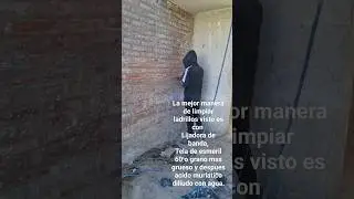 limpieza de ladrillo visto