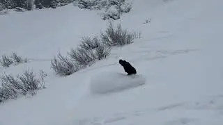 seahorse (a surf/snowboard BC/Alberta homie edit)