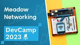 Meadow Networking Overview