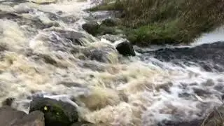 River Eden