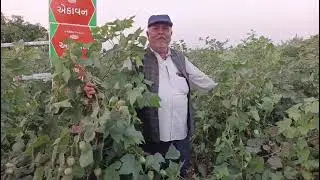 Tata product