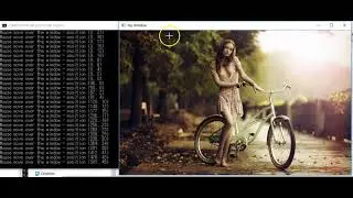 mouse coordinate to screen coordinate