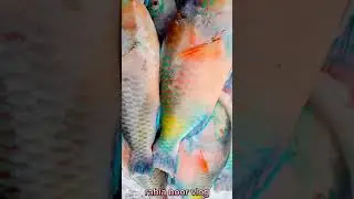 Karachi Fish Market | karachi fishery new video