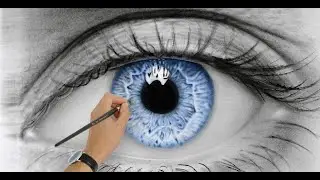 Artist Vision