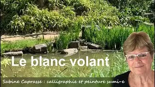 Le blanc volant Sabine Caprasse Janvier 2023