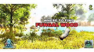 Where To Find Fungal Wood Fast in Ragnarok!