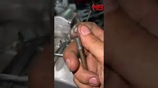 طريقة اصلاح مكان سن الجاويط المفوت | سن سوسته | هيلي كويل