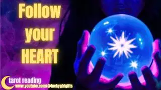 Follow your Heart...Daily Quick Tarot Reading for ALL signs. ✨🔮