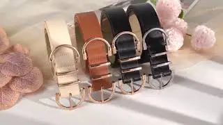 JASGOOD Women Leather Belt for Jeans Pants Ladies Waist Belt for Dress with Fashion Metal Buckle