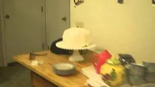 VID01310