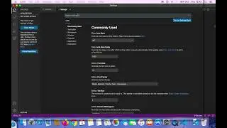 fix vscode errors on mac