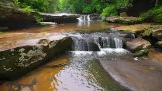 Hiking in Daniel Boone National Forest in Kentucky