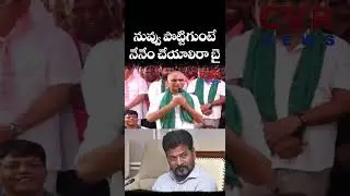 నువ్వు పొట్టిగుంటే నేనేం చేయాలిరా బై | Harish Rao Satirical comments on Revanth | CVR NEWS