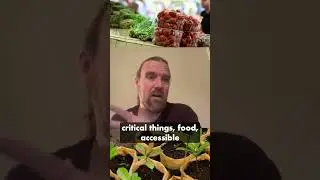 Лучшая &laquo;машина для зарабатывания денег&raquo; &mdash; это питомник растений.