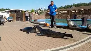 Sea Park Sarbsk