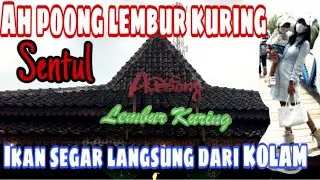 KULINER AH POONG LEMBUR KURING SENTUL, IKAN FRESH DARI KOLAM - FELICIA DAILY CULINARY | VLOG #115