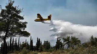 Forest fires continue to destroy Argentina's Patagonia