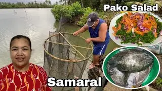 Samaral (Midyad) at Pako Salad vlog877