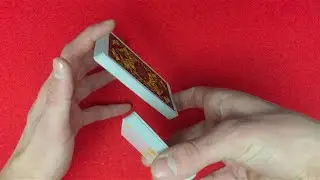 Falska kuperingar del 1 (Nyb&ouml;rjare)