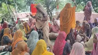 मारवाड़ आंका तीजो धुप#liek #rajasthani #lifeisbutadream #desi #share #
