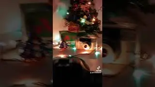 Лучший подарок🎄✨