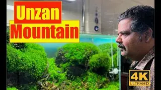 Unzan Stone Mountain | Nature Aquarium | Mayur Dev Aquascaper | I Phone 13pro Max Cinematic HD 1080p