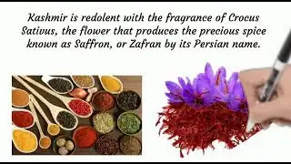 Red Gold : The rich tradition of Kashmiri saffron