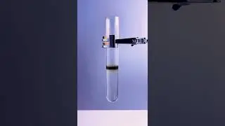 A Color-Changing Reaction: Iron(II) Hydroxide in Action 🎨⚗️ #shorts