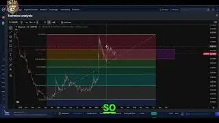 Onyxcoin XCN Update: Key Support Levels & Price Targets!