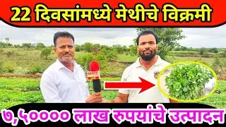 चक्क दोन एकर मेथीची लागवड.