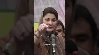CM Punjab Maryam Nawaz| Maryam Sarkar| CM Maryam