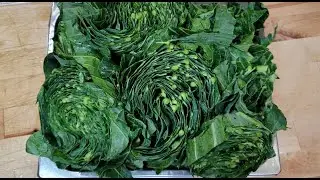 Easy Collard Greens with Salt-pork, Chicken Skins & Ham. Cooking with Bernadette Clayborne