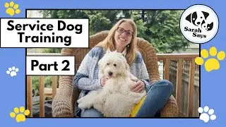How Do You Train a Service Dog? | Sarah Says Pets