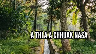 Zu la tur chesual Thlahrang leh Hrangliana Thiltawn mak tak mai chu ( Mi Thiltawnte 456 )