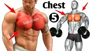 Chest Workout At Gym//Top 5 Chest Exercise 