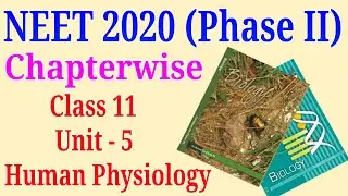 NEET 2020 phase 2 mcq chapter wise of Human physiology class 11 Biology