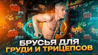 How to do dips for chest and triceps